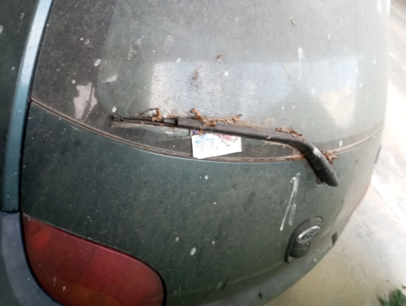 Foto de BRAZO LIMPIA TRASERO FORD KA (CCQ) 1.3 CAT (50 CV / 37 KW) referencia 1015716