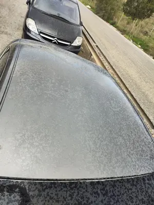 Foto de TECHO AUDI A6 BERLINA (4B2) 2.5 V6 24V TDI (150 CV / 110 KW) referencia 4B5817021A