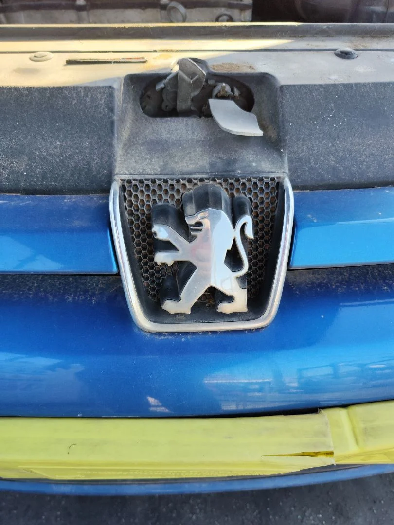 Foto de REJILLA DELANTERA PEUGEOT 307 (S1)(04.2001) 1.6 16V CAT (109 CV / 80 KW)