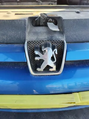 Foto de REJILLA DELANTERA PEUGEOT 307 (S1)(04.2001) 1.6 16V CAT (109 CV / 80 KW)