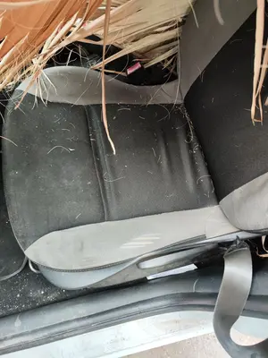 Foto de ASIENTO DELANTERO IZQUIERDO RENAULT CLIO III 1.5 dCi Diesel FAP (75 CV / 55 KW)