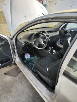 Foto de GOMAS CONTORNO PUERTA PEUGEOT 206 1.6 16V CAT (109 CV / 80 KW)