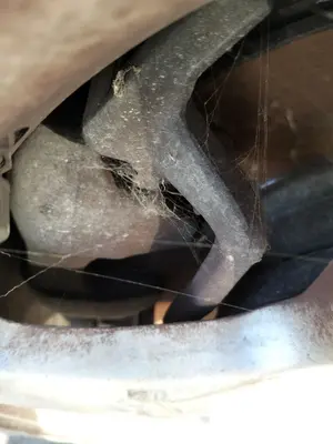 Foto de PINZA DE FRENO DELANTERA IZQUIERDA PEUGEOT 407 1.6 HDi FAP CAT (9HZ / DV6TED4) (109 CV / 80 KW) referencia 4401H2