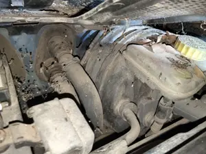 Foto de SERVOFRENO AUDI A4 BERLINA (8E)