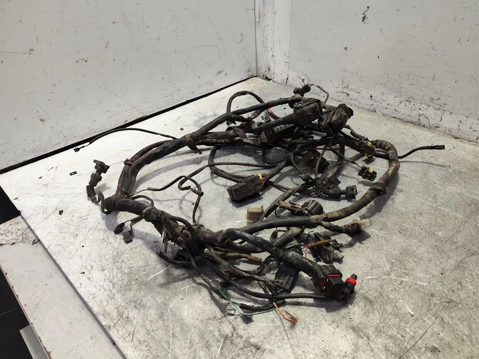 Foto de NO IDENTIFICADO DUCATI MONSTER 696 696 cm3 - 58.8 kW (80 CV / 59 KW)