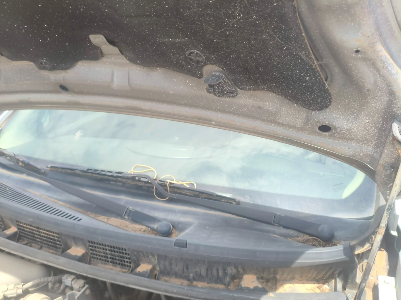 Foto de BRAZO LIMPIA DELANTERO IZQUIERDO NISSAN NOTE (E11E) 1.4 CAT (88 CV / 65 KW) referencia 288869U100