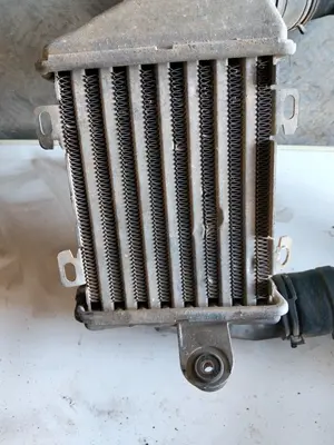 Foto de INTERCOOLER VOLKSWAGEN GOLF III (1H1)(11.1991) 1.9 TDI (110 CV / 81 KW) referencia 1H0145805A foto 3