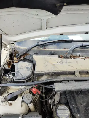 Foto de BRAZO LIMPIA DELANTERO DERECHO BMW SERIE 3 BERLINA (E90) 2.0 Turbodiesel CAT (143 CV / 105 KW)