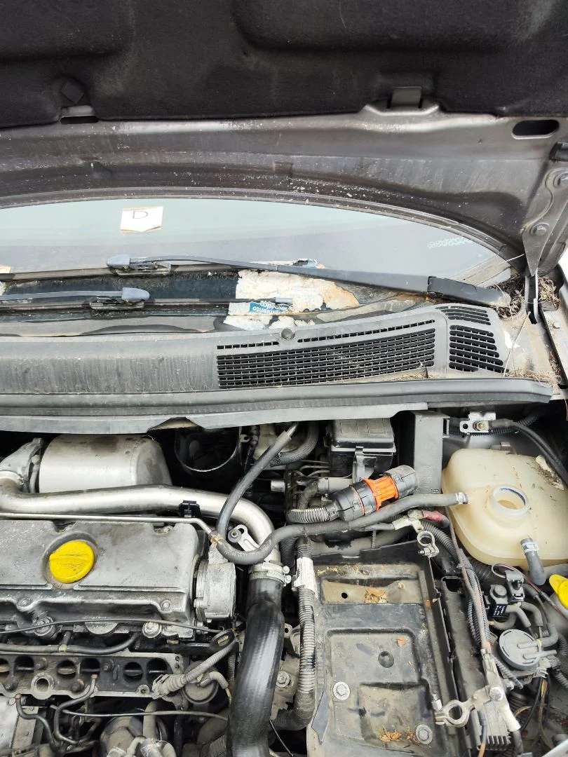 Foto de BRAZO LIMPIA DELANTERO IZQUIERDO OPEL ZAFIRA A 2.0 DTI (101 CV / 74 KW)