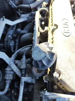 Foto de MOTOR COMPLETO KIA CARENS (RS) 1.8 16V CAT (126 CV / 93 KW) foto 2