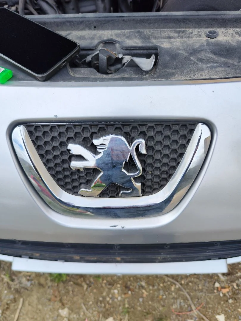 Foto de REJILLA DELANTERA PEUGEOT 307 BREAK/ SW (S2) 2.0 16V HDi FAP CAT (RHR / DW10BTED4) (136 CV / 100 KW)