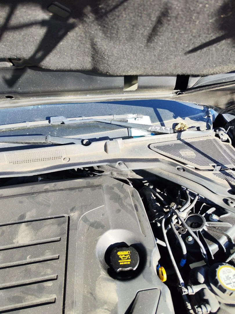 Foto de MOTOR LIMPIA DELANTERO JAGUAR XE 2.0 Turbo CAT (200 CV / 147 KW)