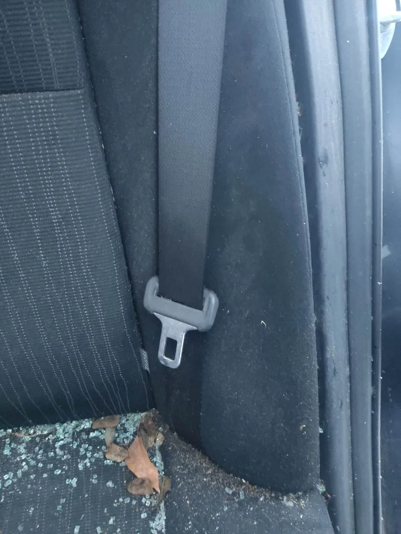 Foto de CINTURON SEGURIDAD TRASERO IZQUIERDO TOYOTA COROLLA (E15) 1.4 Turbodiesel CAT (90 CV / 66 KW)