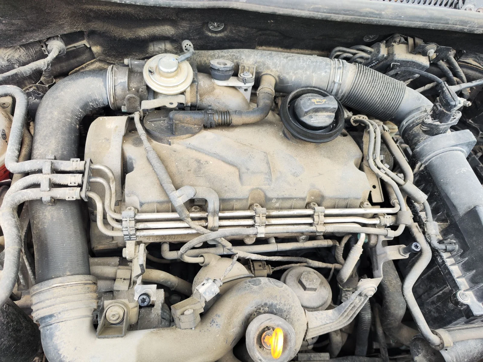 Foto de MOTOR COMPLETO VOLKSWAGEN GOLF PLUS V (5M1) 1.9 TDI (105 CV / 77 KW) referencia BKC
