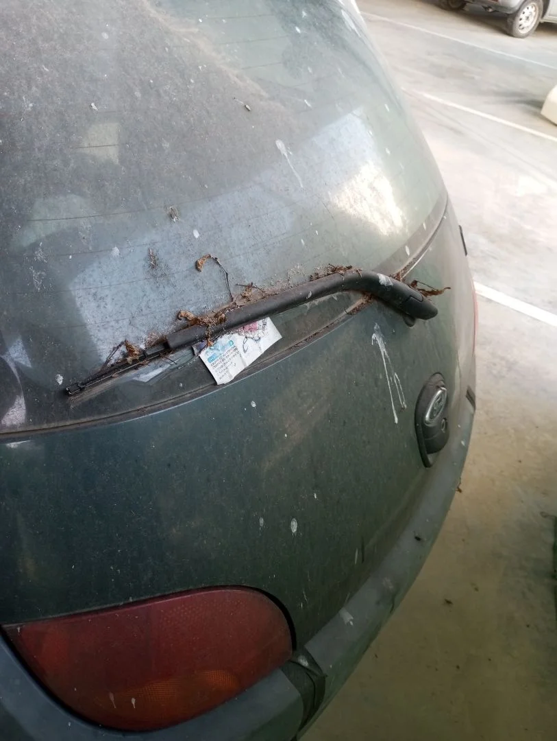 Foto de MOTOR LIMPIA TRASERO FORD KA (CCQ) 1.3 CAT (50 CV / 37 KW)