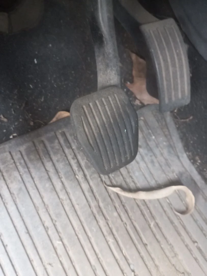 Foto de PEDAL FRENO FORD FOCUS BERLINA (CAP) 1.6 TDCi CAT (109 CV / 80 KW)