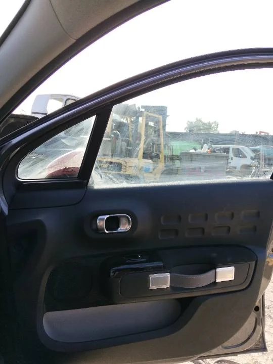 Foto de GUARNECIDO PUERTA DELANTERA DERECHA CITROEN C3