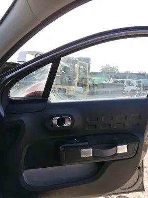 Foto de GUARNECIDO PUERTA DELANTERA DERECHA CITROEN C3
