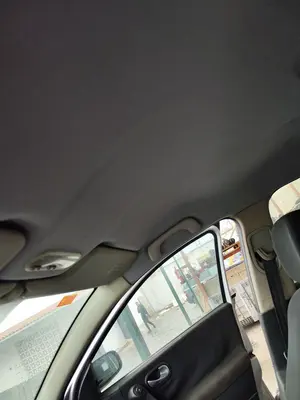 Foto de TECHO INTERIOR RENAULT MEGANE II GRANDTOUR 1.5 dCi Diesel CAT (86 CV / 63 KW)