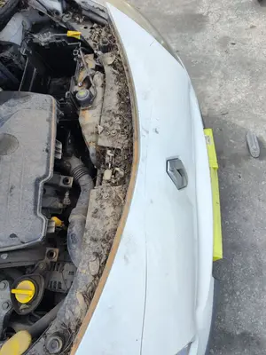 Foto de REFUERZO PARAGOLPES DELANTERO RENAULT CLIO III 1.2 16V (75 CV / 55 KW)