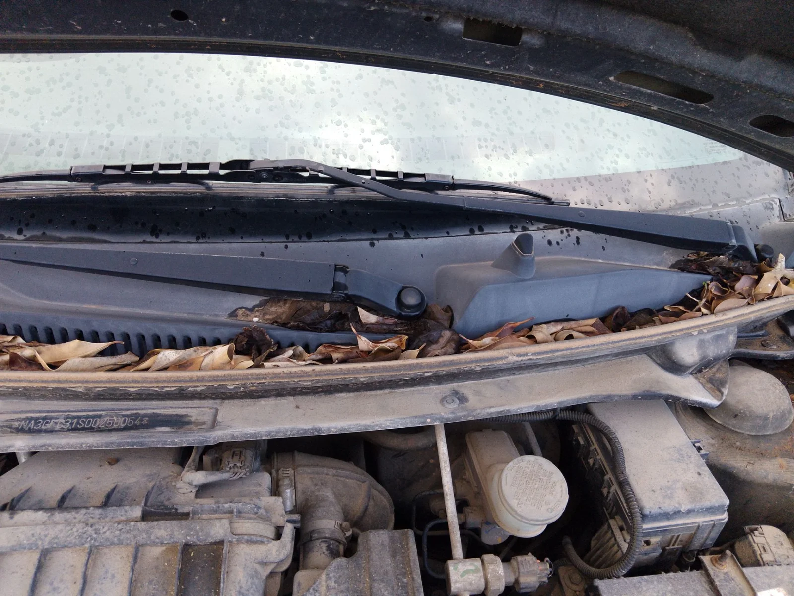 Foto de ARTICULACION LIMPIA DELANTERA SUZUKI ALTO (AMF310) 1.0 12V CAT (68 CV / 50 KW)