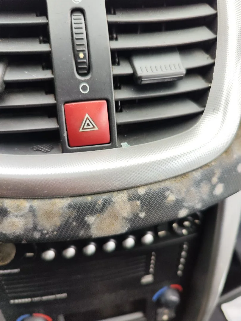 Foto de WARNING PEUGEOT 207 1.4 16V CAT (KFU / ET3J4) (88 CV / 65 KW)