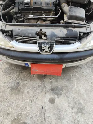 Foto de REJILLA DELANTERA PEUGEOT 206 1.4 HDi (68 CV / 50 KW) referencia 7414V2 foto 2