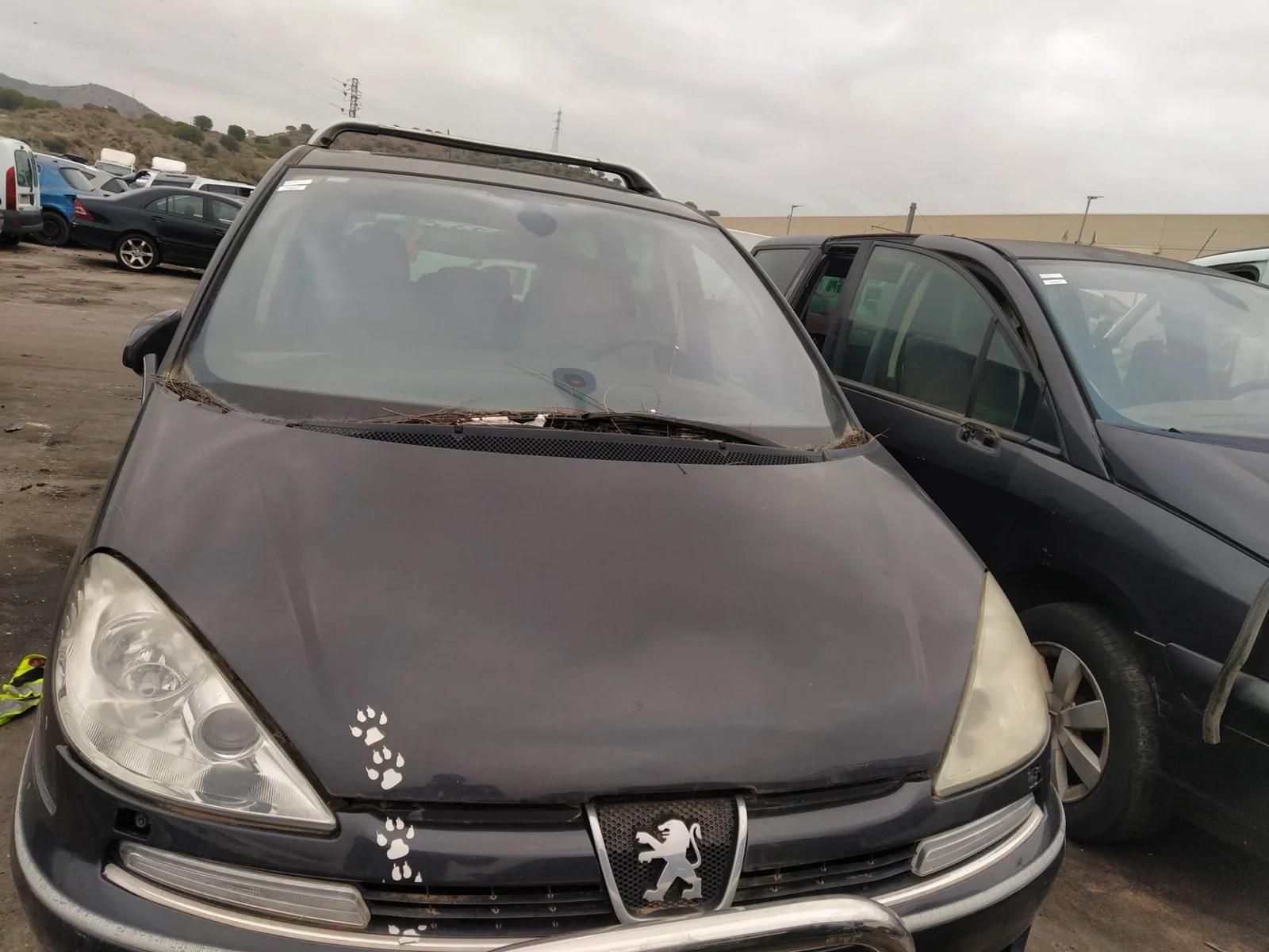 Foto de CAPO PEUGEOT 807 2.2 HDi FAP CAT (4HW) (128 CV / 94 KW) referencia 7901N4