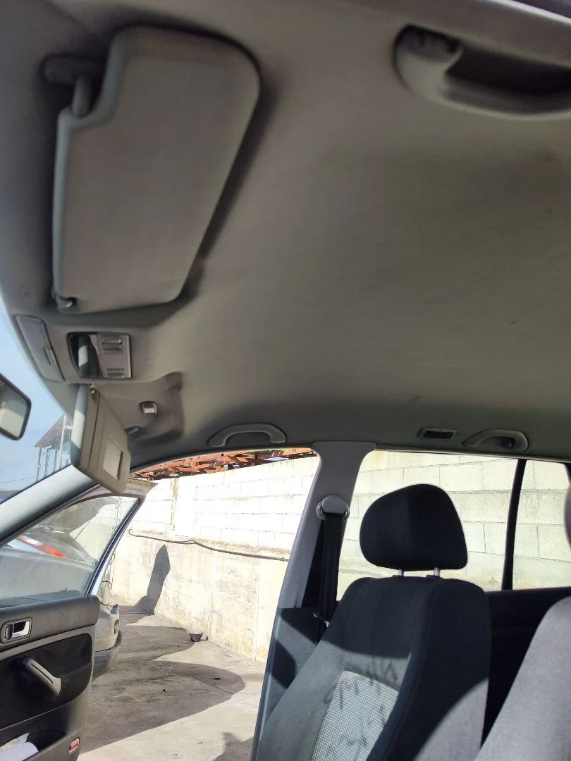 Foto de TECHO INTERIOR VOLKSWAGEN GOLF IV BERLINA (1J1)(10.1997) 2.0 (116 CV / 85 KW)