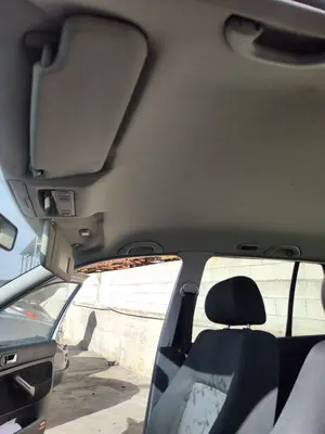 Foto de TECHO INTERIOR VOLKSWAGEN GOLF IV BERLINA (1J1)(10.1997) 2.0  (116 CV / 85 KW)