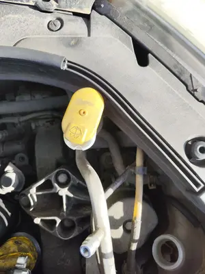 Foto de DEPOSITO LIMPIA RENAULT SCENIC II (JM) 1.5 dCi Diesel (106 CV / 78 KW)