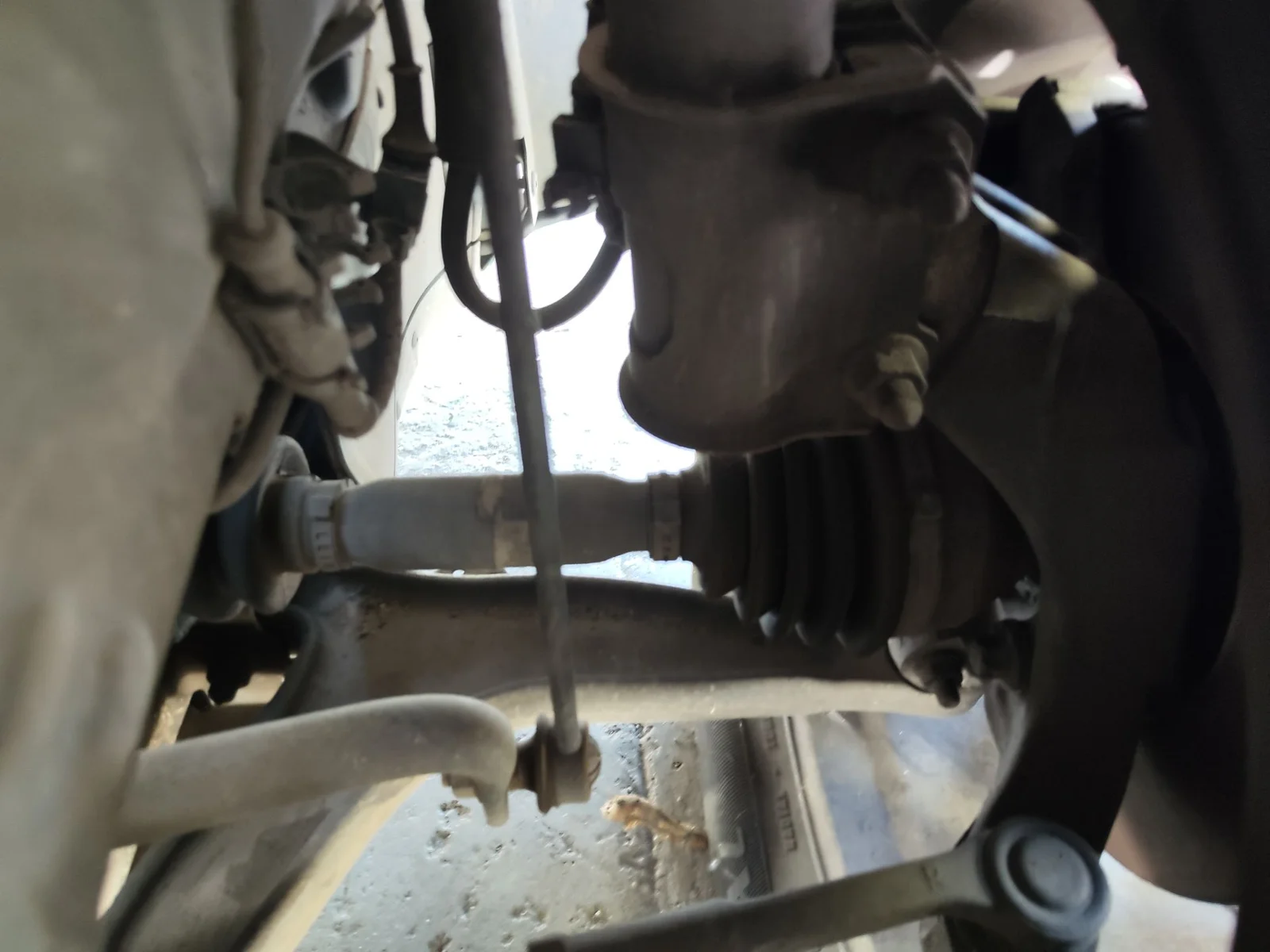 Foto de BIELETA ESTABILIZADORA DELANTERA DERECHA OPEL VECTRA C BERLINA 2.2 16V DTI CAT (Y 22 DTR / L50) (125 CV / 92 KW) referencia 13237130
