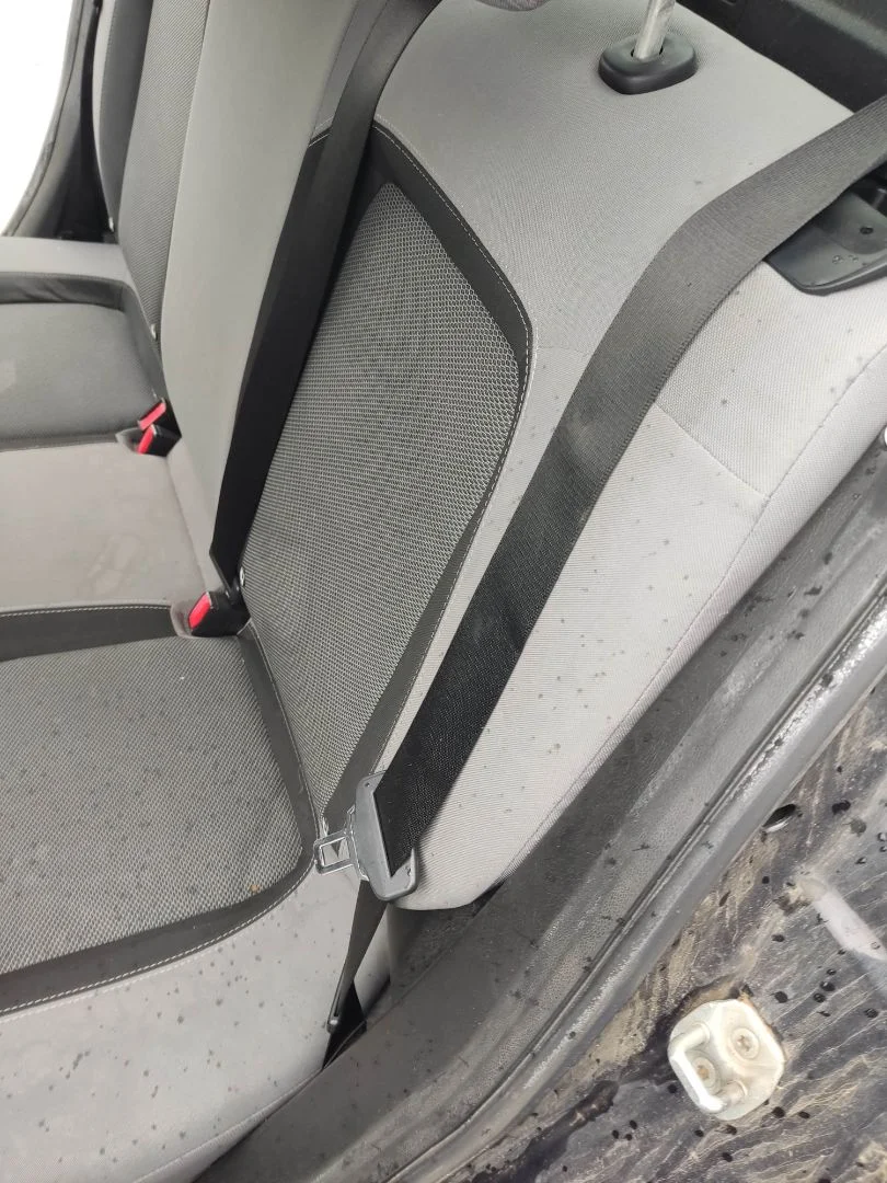 Foto de CINTURON SEGURIDAD TRASERO IZQUIERDO FIAT II TIPO (356) BERLINA 1.4 (95 CV / 70 KW)