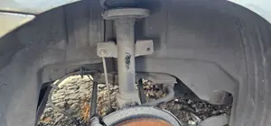 Foto de PASO RUEDA TRASERO DERECHO FORD MONDEO BERLINA (GE) 2.0 16V DI TD CAT (116 CV / 85 KW) referencia 1133870