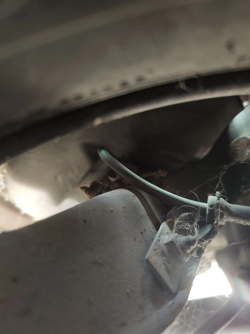 Foto de PINZA DE FRENO TRASERA DERECHA VOLVO S40 BERLINA 1.9 Diesel CAT (116 CV / 85 KW)