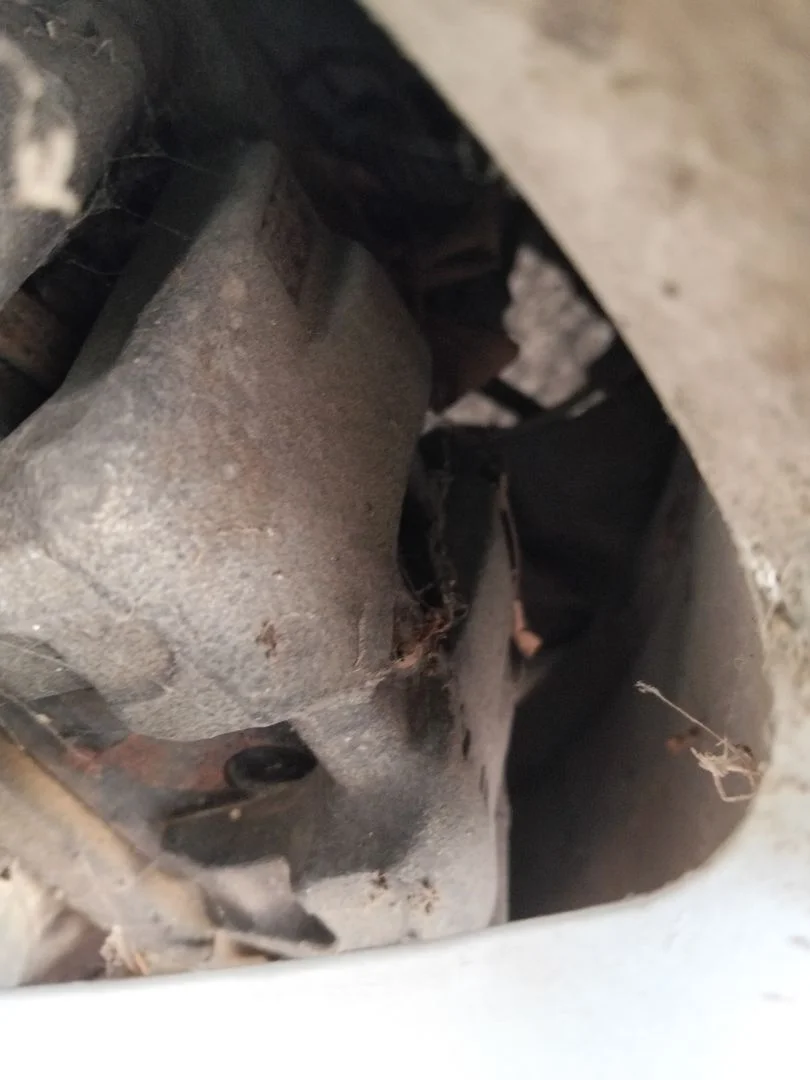 Foto de PINZA DE FRENO TRASERA DERECHA MAZDA 6 BERLINA (GH) 2.2 Turbodiesel CAT (163 CV / 120 KW) referencia GJ6A-26-61XC