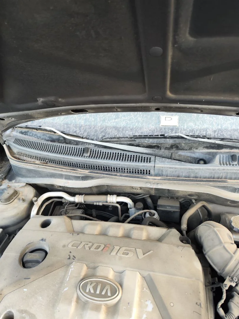 Foto de BRAZO LIMPIA DELANTERO DERECHO KIA RIO (JB) 1.5 CRDi (110 CV / 81 KW) referencia 983201G001