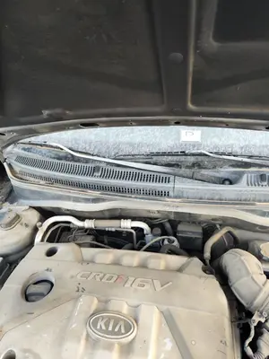 Foto de BRAZO LIMPIA DELANTERO DERECHO KIA RIO (JB) 1.5 CRDi (110 CV / 81 KW) referencia 983201G001