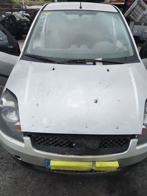 Foto de CAPO FORD FIESTA (CBK) 1.4 TDCi CAT (68 CV / 50 KW) referencia 1531070 foto 4