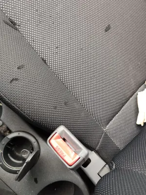 Foto de PRETENSOR AIRBAG DERECHO KIA RIO (JB) 1.5 CRDi (110 CV / 81 KW)