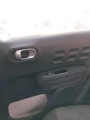 Foto de GUARNECIDO PUERTA TRASERA DERECHA CITROEN C3