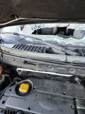 Foto de BRAZO LIMPIA DELANTERO DERECHO LAND ROVER FREELANDER (LN) 2.0 Td4 CAT (109 CV / 80 KW)