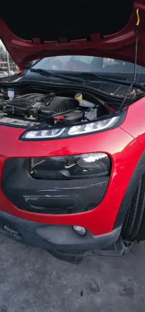 Foto de NO IDENTIFICADO CITROEN C4 CACTUS 1.2 12V VTi (82 CV / 60 KW) foto 2