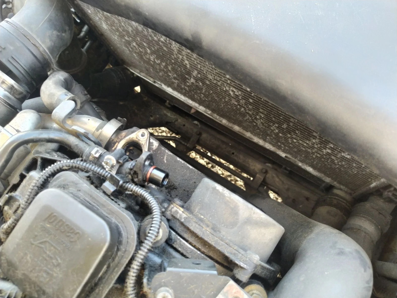 Foto de RADIADOR AGUA BMW SERIE 1 BERLINA (E81/E87) 2.0 16V Diesel CAT (122 CV / 90 KW) referencia 17117788903
