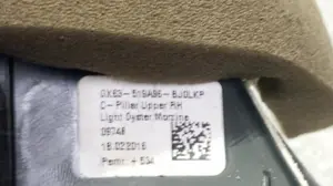 Foto de NO IDENTIFICADO JAGUAR XF 2.0 Diesel CAT (163 CV / 120 KW) referencia GX63519A96 foto 2