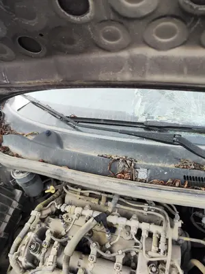 Foto de BRAZO LIMPIA DELANTERO DERECHO OPEL CORSA D 1.3 16V CDTI (75 CV / 55 KW)