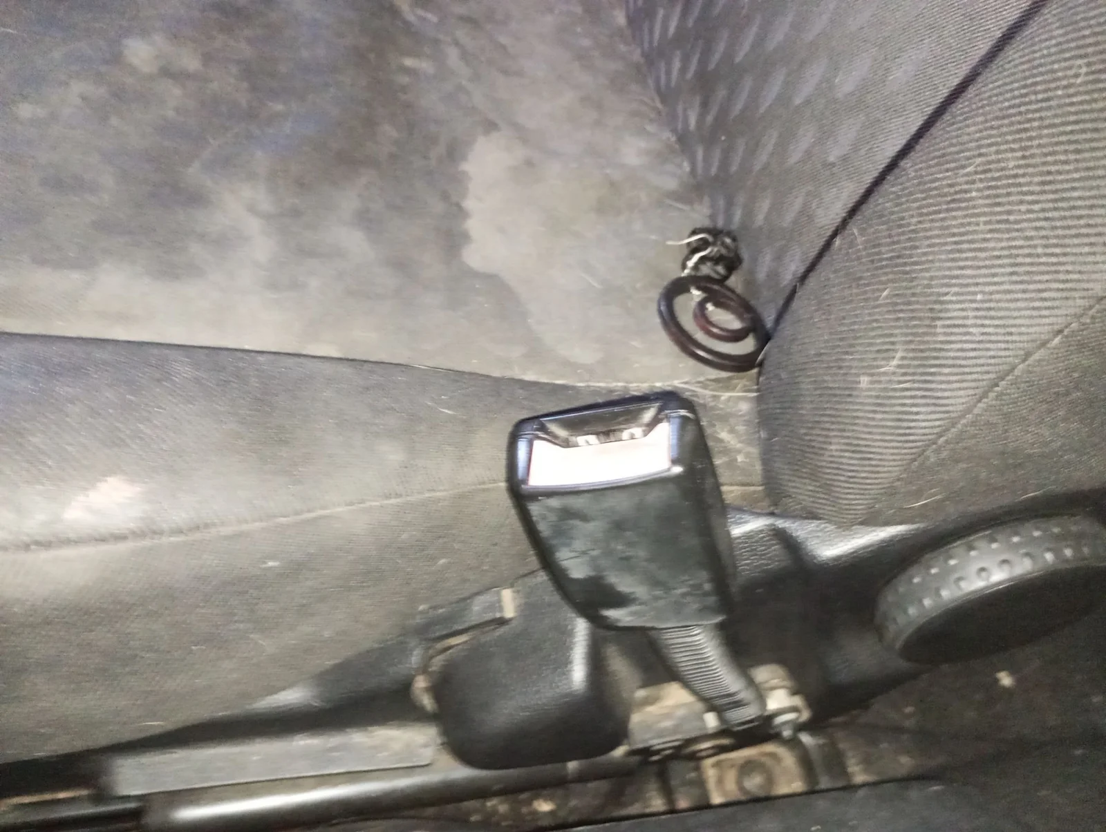 Foto de ENGANCHE CINTURON DELANTERO DERECHO FORD FIESTA (CBK) 1.4 TDCi CAT (68 CV / 50 KW) referencia 8V51B61208DB