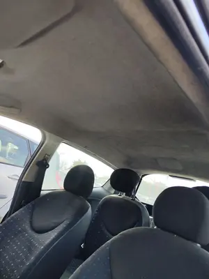 Foto de TECHO INTERIOR CITROEN C2 1.1  (60 CV / 44 KW)