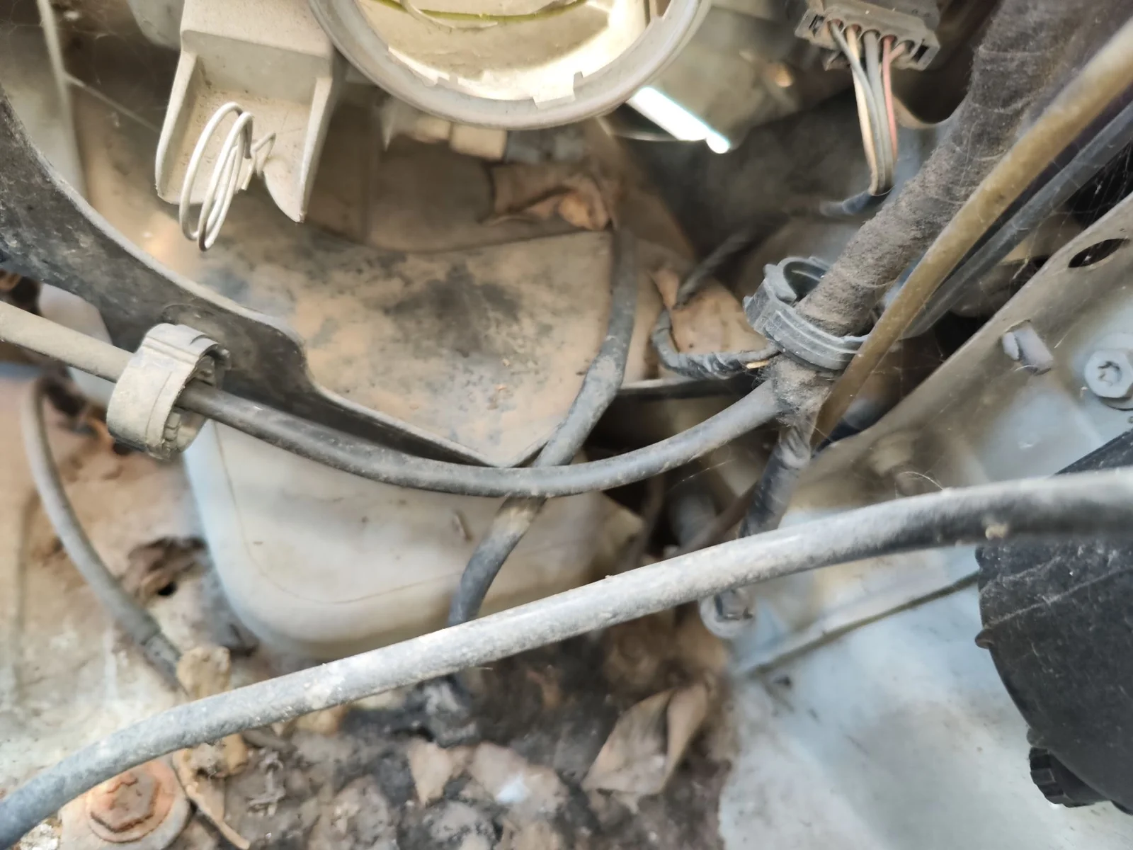 Foto de CLAXON NISSAN INTERSTAR (X70) 2.5 dCi Diesel CAT (114 CV / 84 KW)