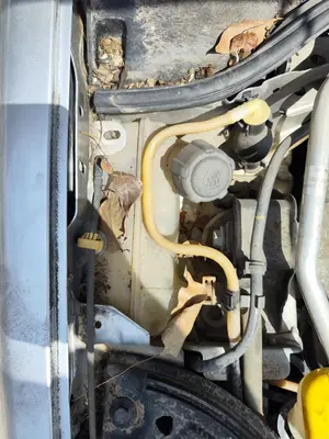 Foto de DEPOSITO EXPANSION RENAULT MEGANE II GRANDTOUR 1.5 dCi Diesel CAT (86 CV / 63 KW)